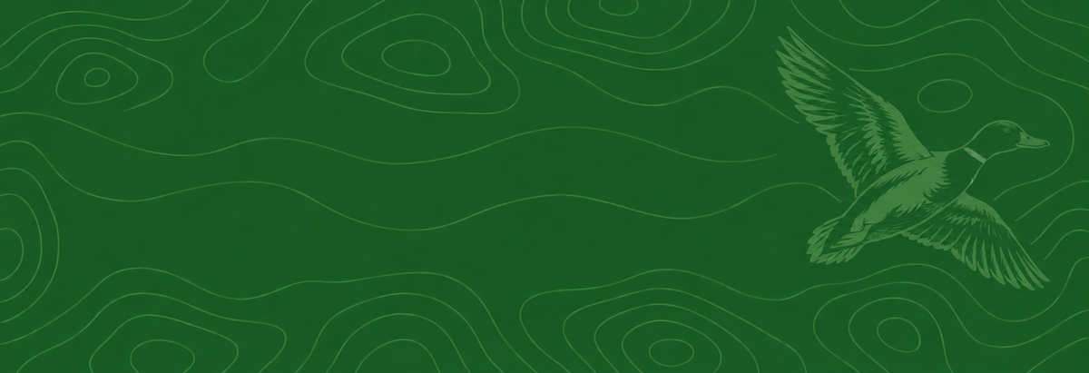 Big Duck green topographic background